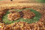 LandART2019_4.jpg