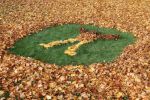 LandART2019_3.jpg