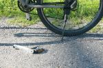 Triathlon2013_26.jpg