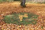 LandART2019_5.jpg